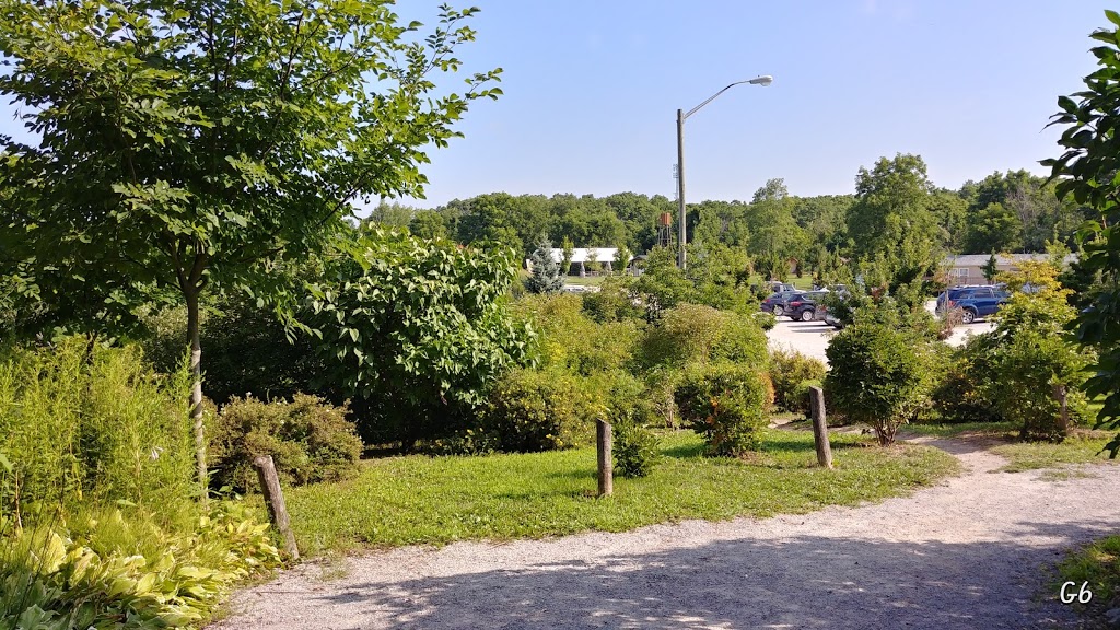 Long Point Eco Adventures | 1730 Front Rd, St Williams, ON N0E 1P0, Canada | Phone: (877) 743-8687