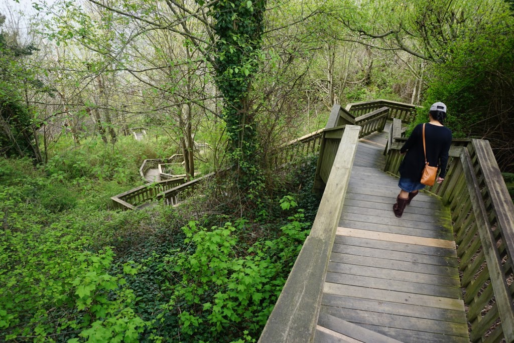 1001 Steps | 15a Ave, Surrey, BC V4A 1L6, Canada | Phone: (604) 501-5050