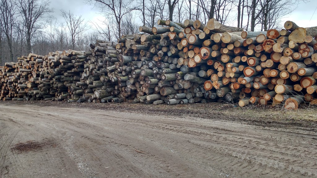 Moses Burkhart Sawmill | 2896 Hackbart Rd, St. Clements, ON N0B 2M0, Canada | Phone: (519) 699-5751