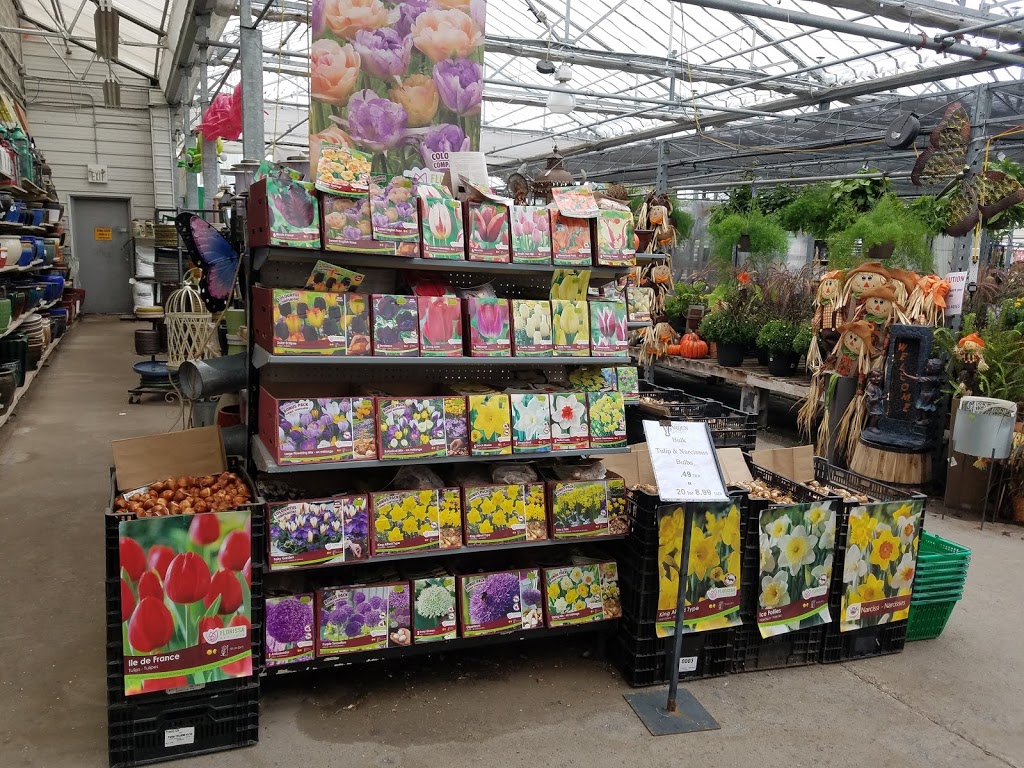 Garrys Garden Gallery | 5 Commerce Rd, Lindsay, ON K9V 5Y3, Canada | Phone: (705) 324-9574