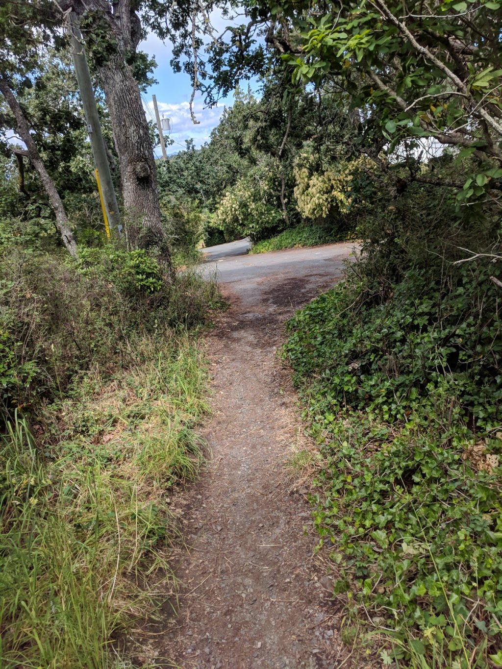 Gonzales Hill Regional Park | Denison Rd, Victoria, BC V8S 4K3, Canada | Phone: (250) 360-3000