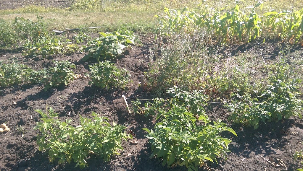 Aspen Community Garden | Aspen Dr, Blackfalds, AB T0M 0J0, Canada | Phone: (403) 885-4677