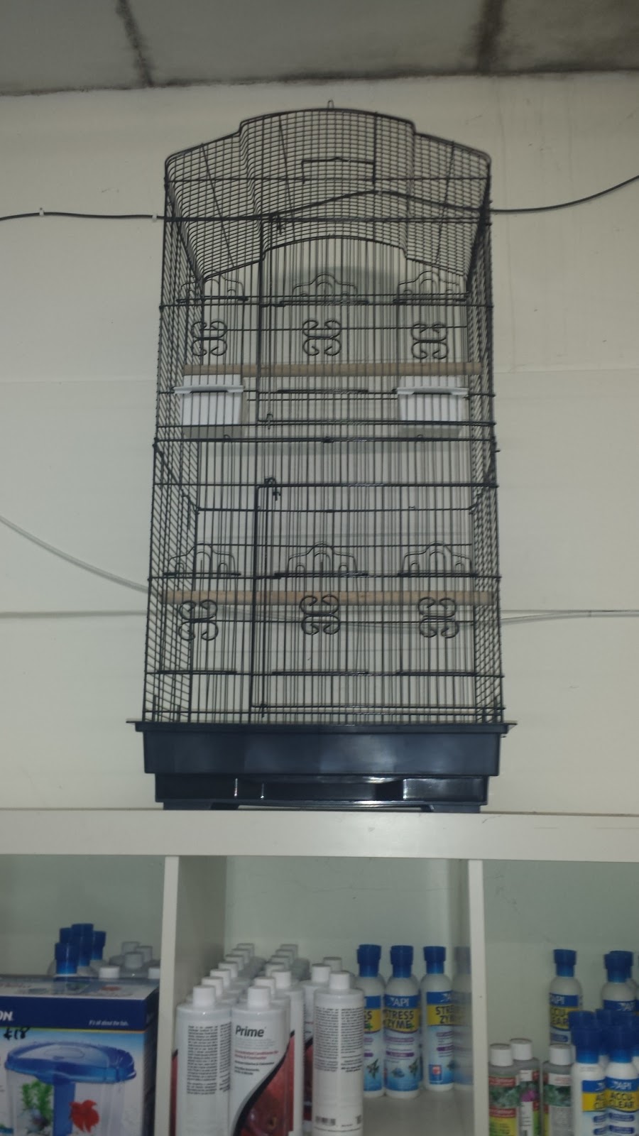 T T Aquarium&Pets | 1160 Albion Rd, Etobicoke, ON M9V 1A8, Canada | Phone: (647) 349-3732