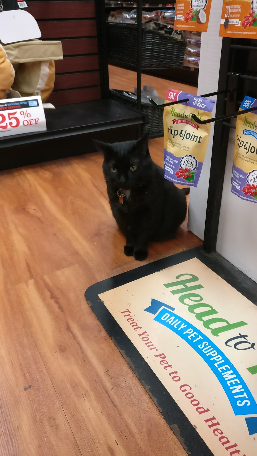 Pet Valu | 339 College St W, Toronto, ON M5T 1S2, Canada | Phone: (416) 944-0314