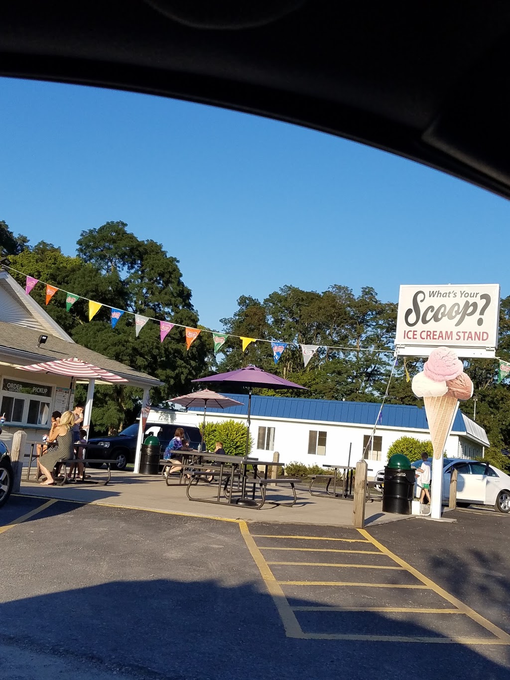 Whats Your Scoop? | 6501 Wheeler Rd, Lockport, NY 14094, USA | Phone: (716) 433-1389