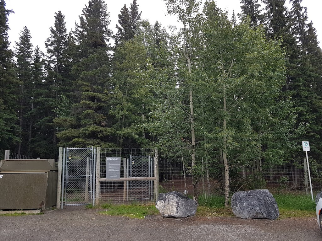 Banff Off-Leash Dog Park | Hawk Ave, Banff, AB T1L, Canada | Phone: (403) 762-1240