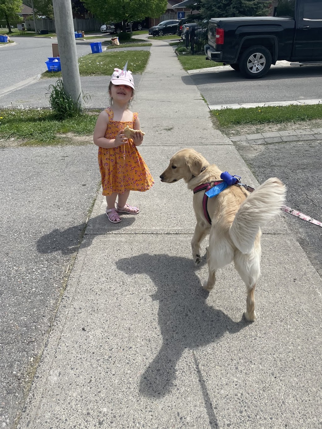 My Family | 225 Millburn Dr, Bowmanville, ON L1C 5M1, Canada | Phone: (905) 449-2200