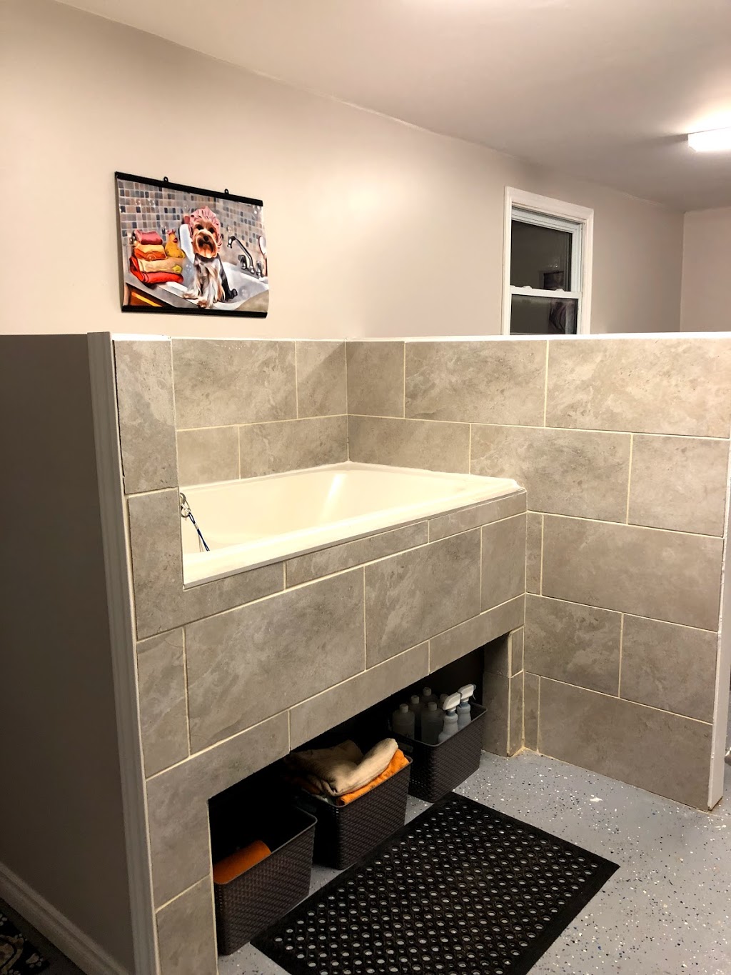 Paws-itive Vibes Dog Spa | 445133 Gunns Hill Rd, Woodstock, ON N4S 7V8, Canada | Phone: (226) 232-6575