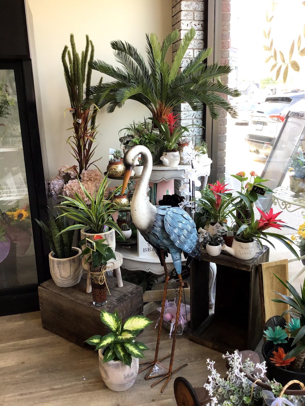 Bellas and Blooms | 440 Niagara St, Welland, ON L3C 1L5, Canada | Phone: (289) 820-6077