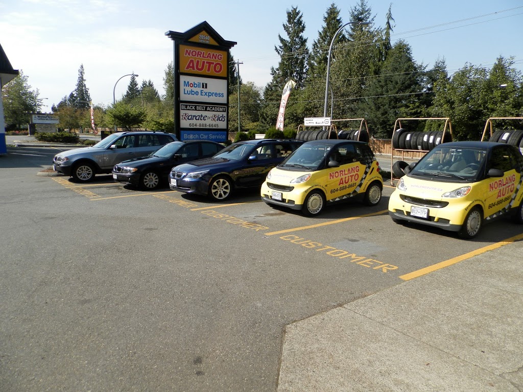 Norlang European Car Care | 20540 88 Ave #103, Langley City, BC V1M 2Y6, Canada | Phone: (604) 888-9550