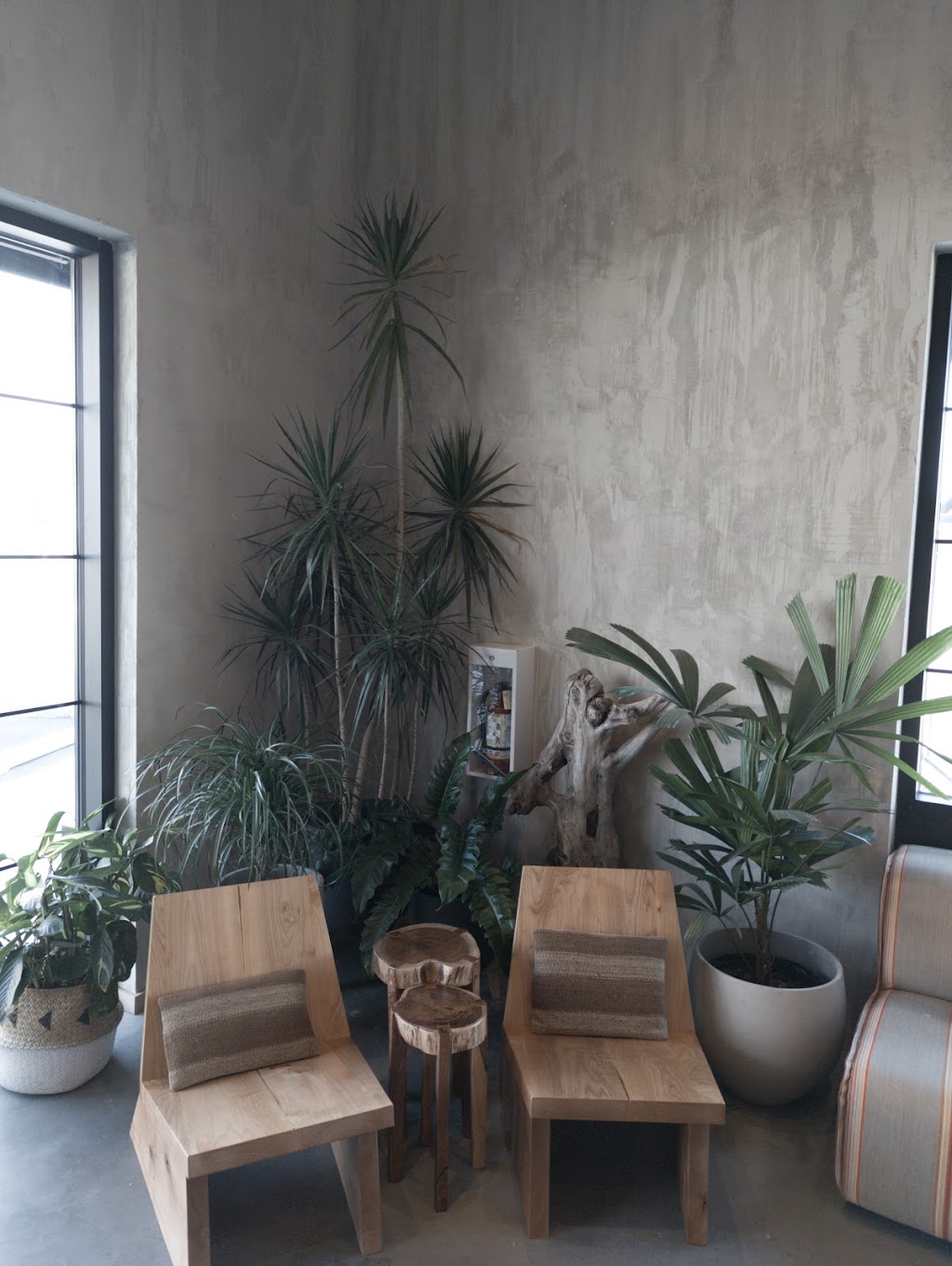 Analog Coffee Greenwich | 55 Greenbriar Dr NW #130, Calgary, AB T3B 5X4, Canada | Phone: (403) 718-5085