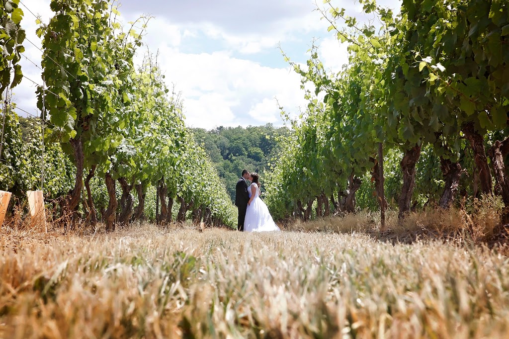 Cave Spring Vineyard | 4043 Cave Spring Rd, Beamsville, ON L0R 1B1, Canada | Phone: (905) 563-9393