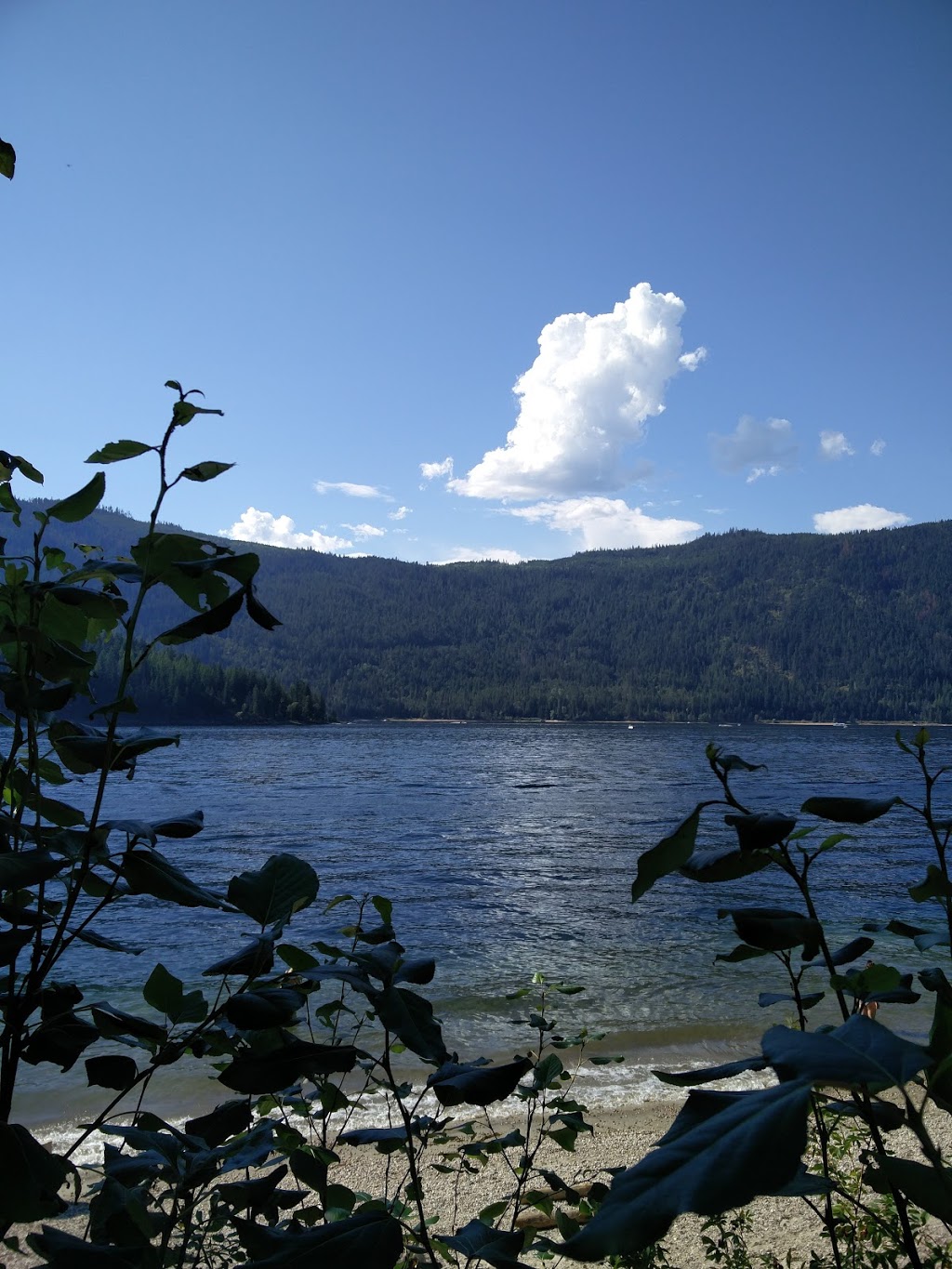 Mara Provincial Park | 8265 Vernon-Sicamous Hwy, Mara, BC V0E 2K0, Canada | Phone: (250) 548-0076