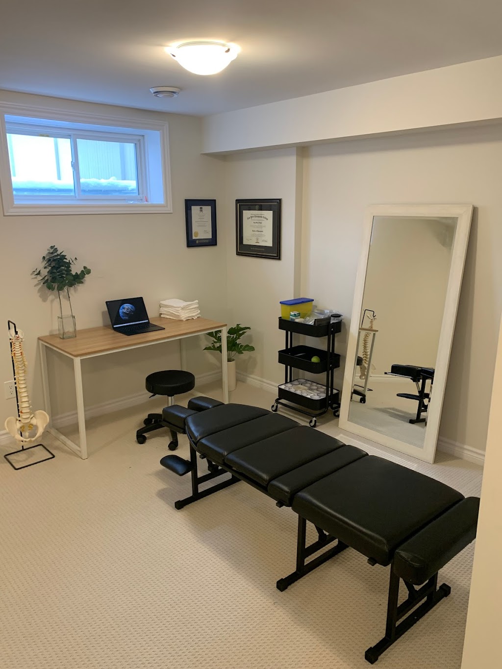 Dr. Ryley Hayter, Stittsville Chiropractor | 216 Tim Sheehan Pl, Ottawa, ON K2S 1B6, Canada | Phone: (343) 297-4585