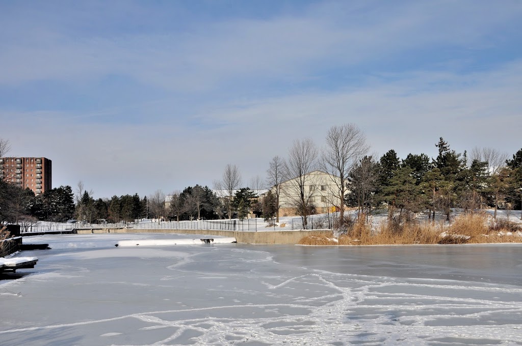 Lake Aquitaine Park Splash Pad | 2750 Aquitaine Ave, Mississauga, ON L5N 3K5, Canada | Phone: (905) 615-4100