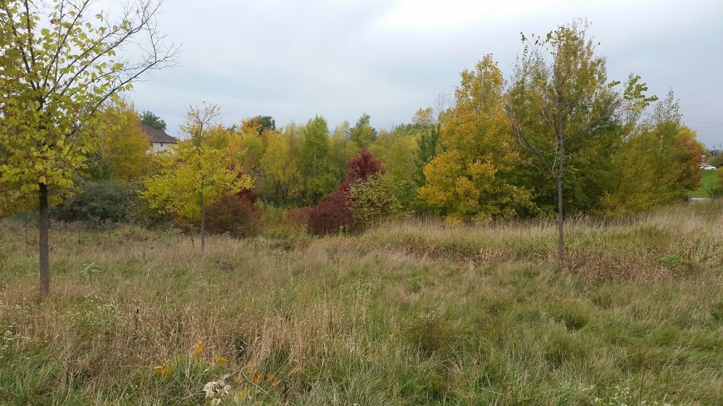 Joshua Ave Open Space | Meadowlands, Hamilton, ON L9K 1P8, Canada