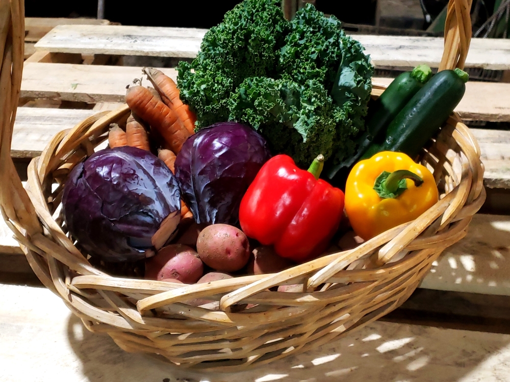 Zephyr Organics | 10900 Concession Rd 4, Zephyr, ON L0E 1T0, Canada | Phone: (416) 577-3685