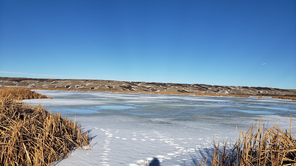 Buffalo Pound Provincial Park | Moose Jaw No. 161, SK S6H 6V2, Canada | Phone: (306) 694-3320