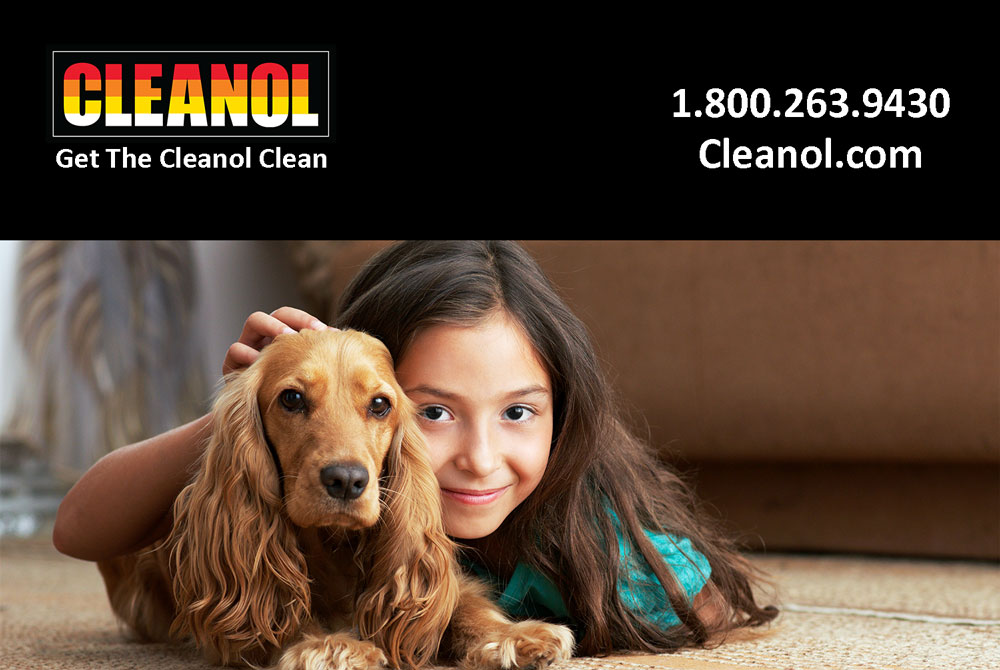 Cleanol | 40 Adesso Dr, Concord, ON L4K 3C6, Canada | Phone: (416) 745-5221