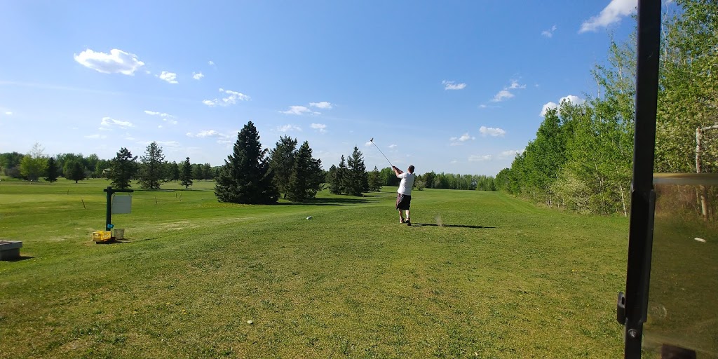 Big Tee Golf Resort RV Park and Motel | 48111 Hwy 20 N, Breton, AB T0C 0P0, Canada | Phone: (780) 696-3883