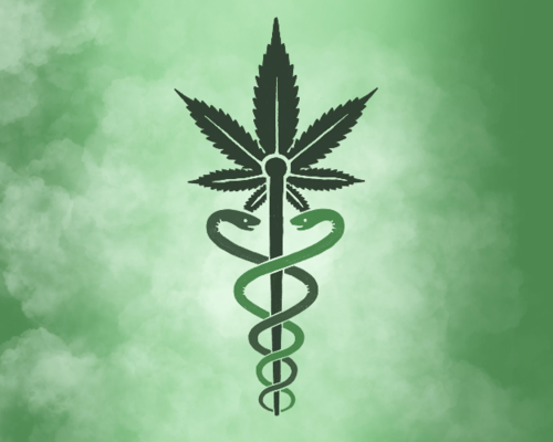 Brantford Cannabis Delivery. Text Only, Calling Unavailable. | 794 Colborne St E #22022, Brantford, ON N3S 7V1, Canada | Phone: (226) 241-6406
