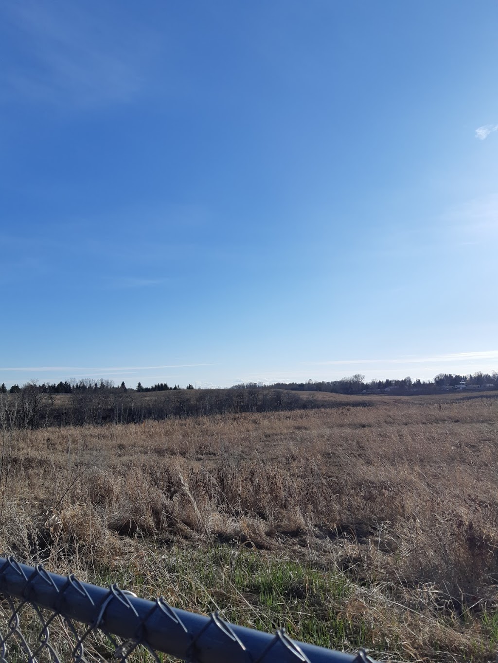 Work Of Art Projects | 10 Bluebird Dr, Didsbury, AB T0M 0W0, Canada