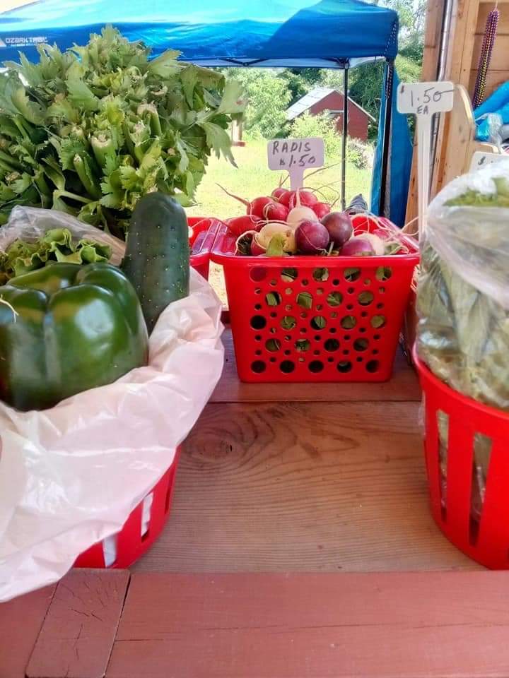 Le Potager de Francoise | 1841 Principale St, Chute-à-Blondeau, ON K0B 1B0, Canada | Phone: (450) 612-4746