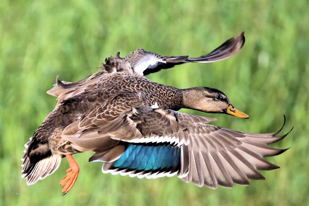 Taste Of Life Photography | 54 Cherokee Lane, RR#5, Goderich, ON N7A 3Y2, Canada | Phone: (226) 421-2064