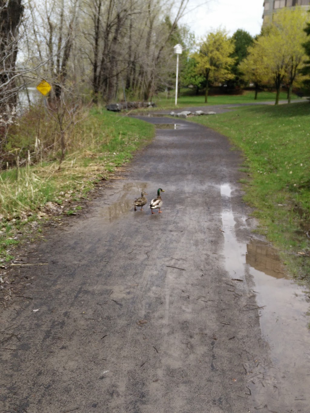 Marin Park | Chemin du Club Marin, Verdun, QC H3E 1P5, Canada