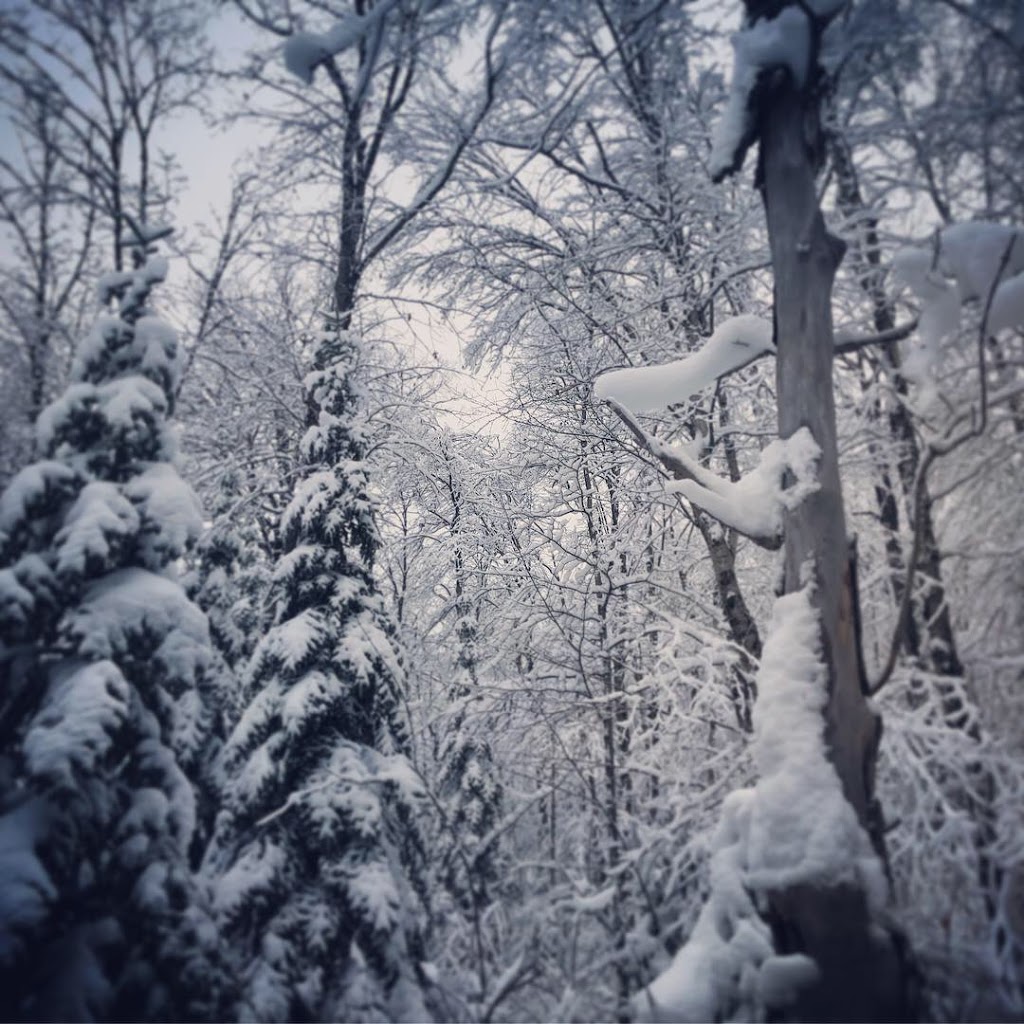 Chalet le Migrateur 132 | Entrelacs, QC J0T 2E0, Canada | Phone: (438) 888-8000