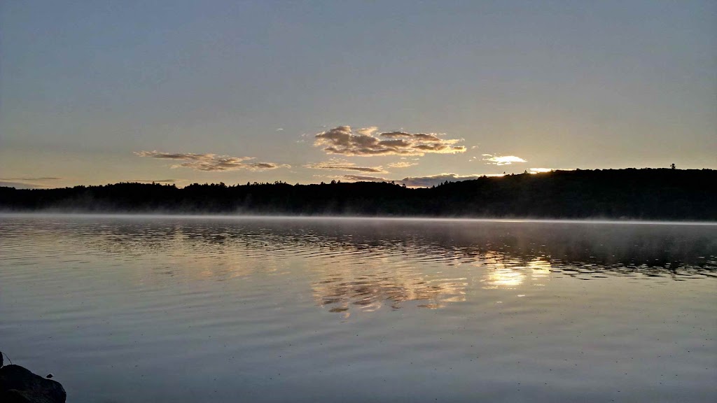 Greater Haliburton Team | 4502 Kennisis Lake Rd, Dysart and Others, ON K0M 1S0, Canada | Phone: (705) 754-1932