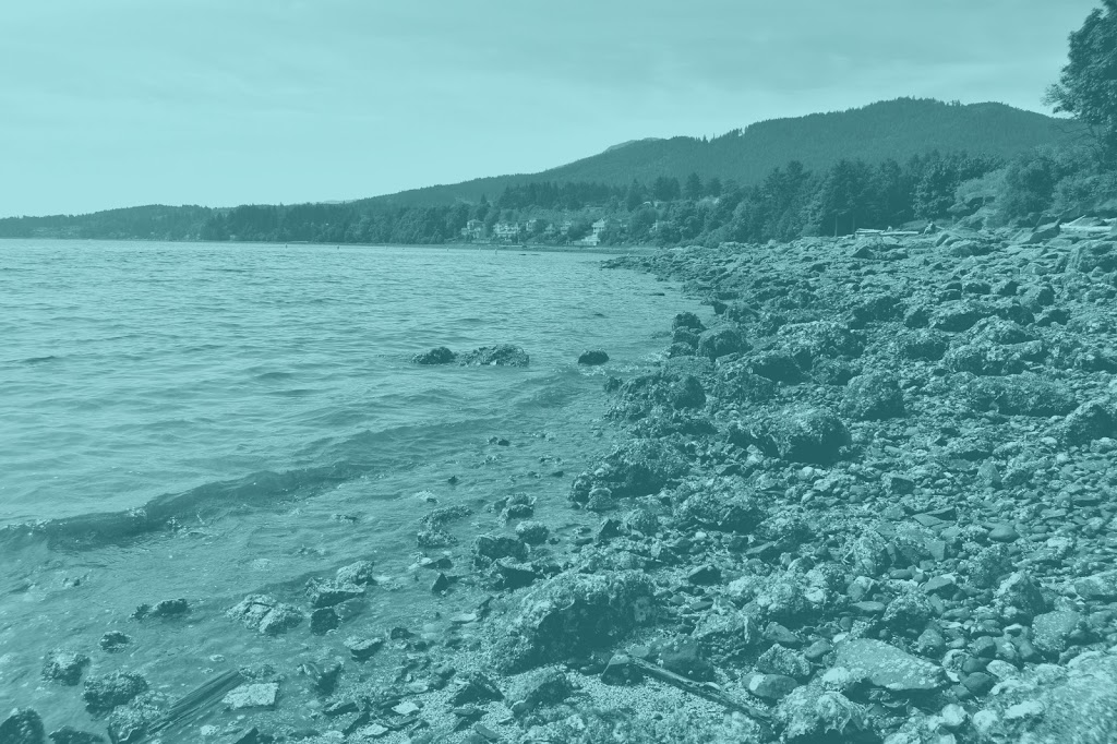 Cheri Mactier Realtor® | 640 Trans-Canada Hwy, Ladysmith, BC V9G 1A7, Canada | Phone: (250) 739-3933