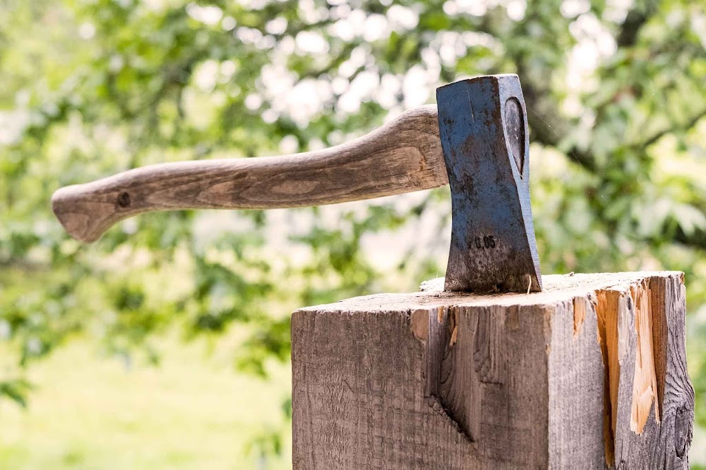 Arbor Life Tree Care | 3 Washington St, Norwich, ON N0J 1P0, Canada | Phone: (519) 860-5914
