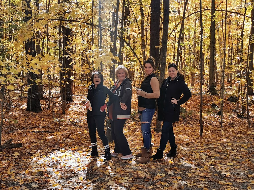 Buckhorn Community Centre | 1782 Lakehurst Rd, Buckhorn, ON K0L 1J0, Canada | Phone: (705) 657-8833