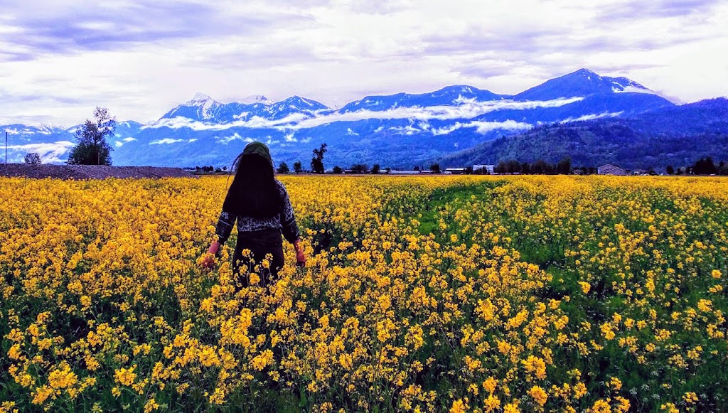 Kindness Chain Chilliwack Association | 46557 Sylvan Dr, Chilliwack, BC V2R 4G1, Canada | Phone: (778) 772-2203