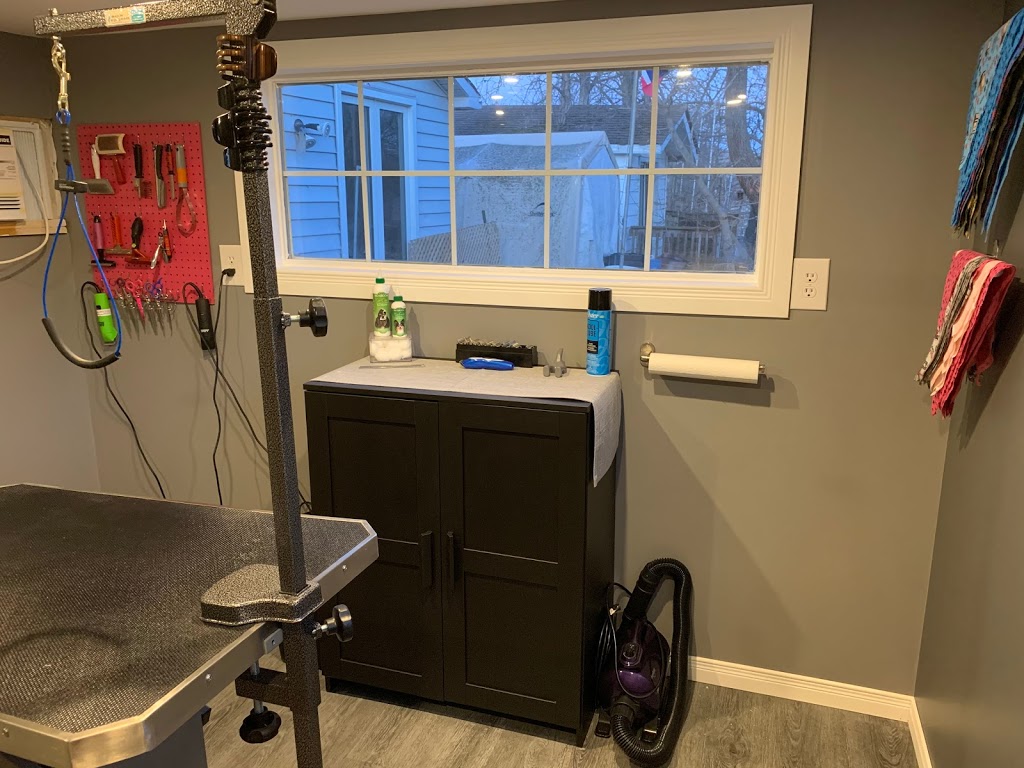 Creekside K9 Spa | 48259 Rush Creek Line, Aylmer, ON N5H 2R2, Canada | Phone: (519) 765-1944