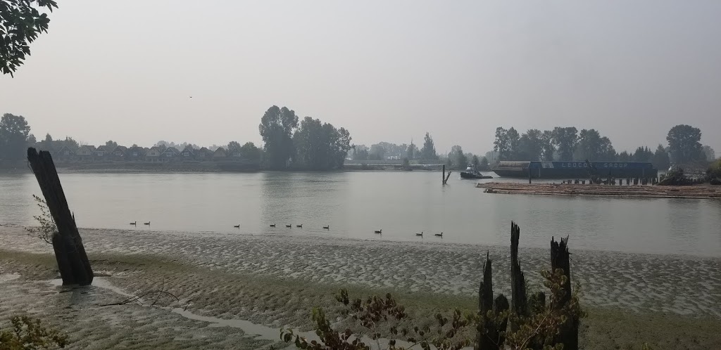 Quayside Dog Area | 6P2, 3 Rialto Ct, New Westminster, BC V3M 6P2, Canada