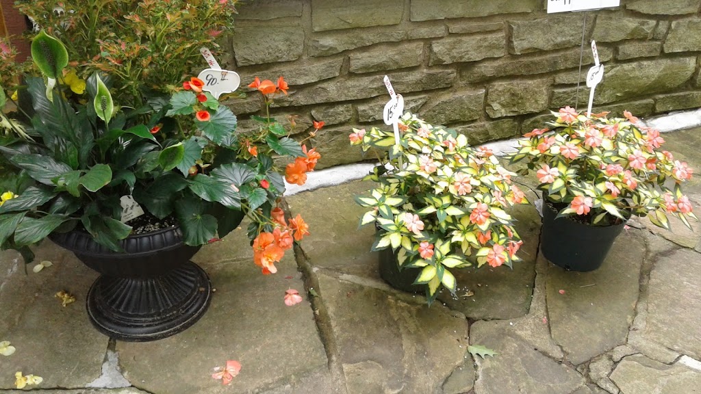 Gerbers B & B / Nursery | 764 Zadow Rd, Killaloe, ON K0J 2A0, Canada | Phone: (613) 625-2304