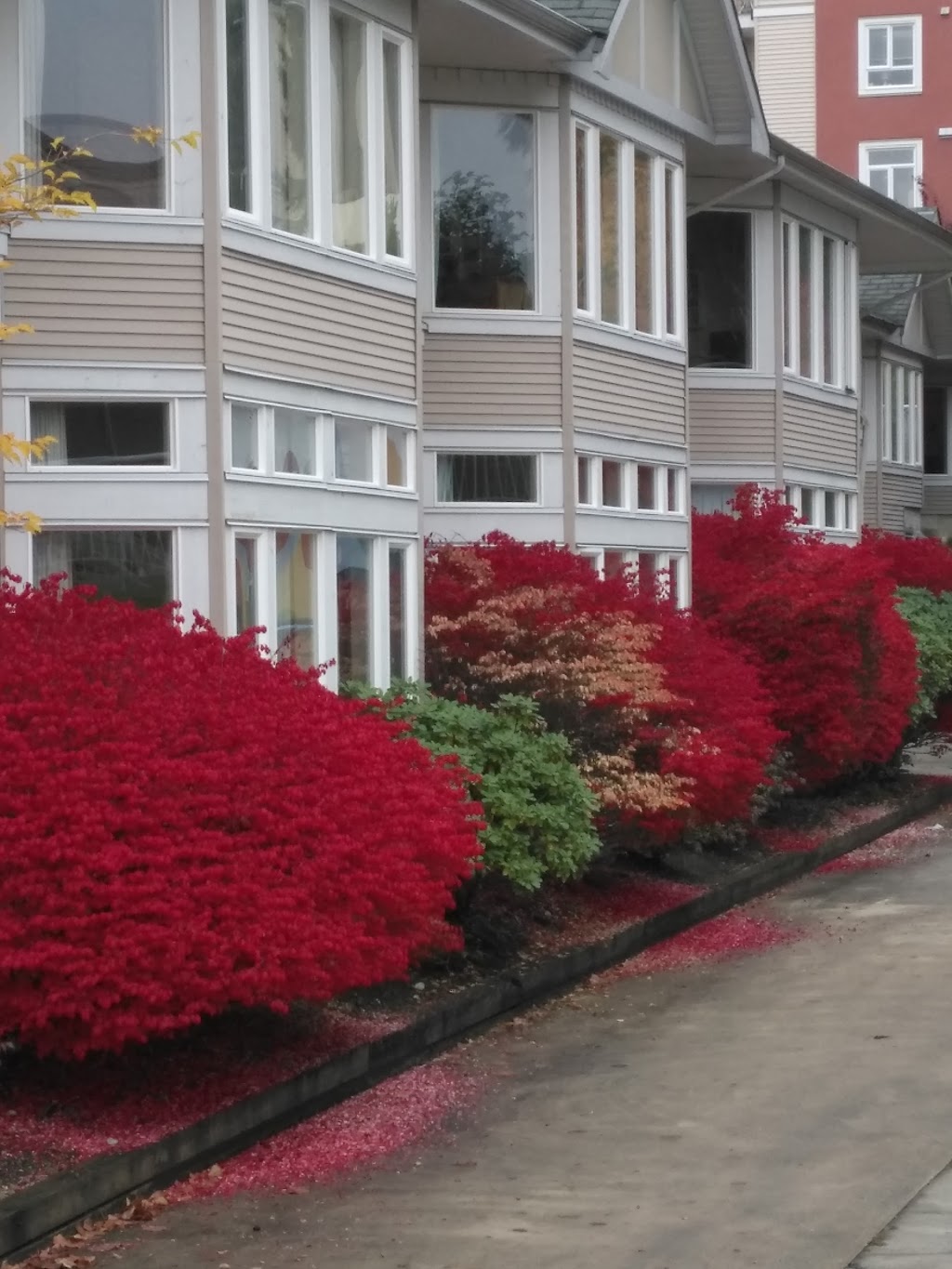 Belvedere Care Centre | 739 Alderson Ave, Coquitlam, BC V3K 7B3, Canada | Phone: (604) 939-5991
