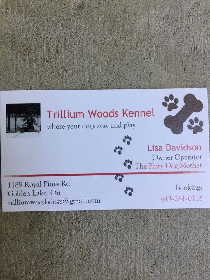 Trillium Woods Kennels | 1189 Royal Pines Rd, Golden Lake, ON K0J 1X0, Canada | Phone: (613) 281-0716