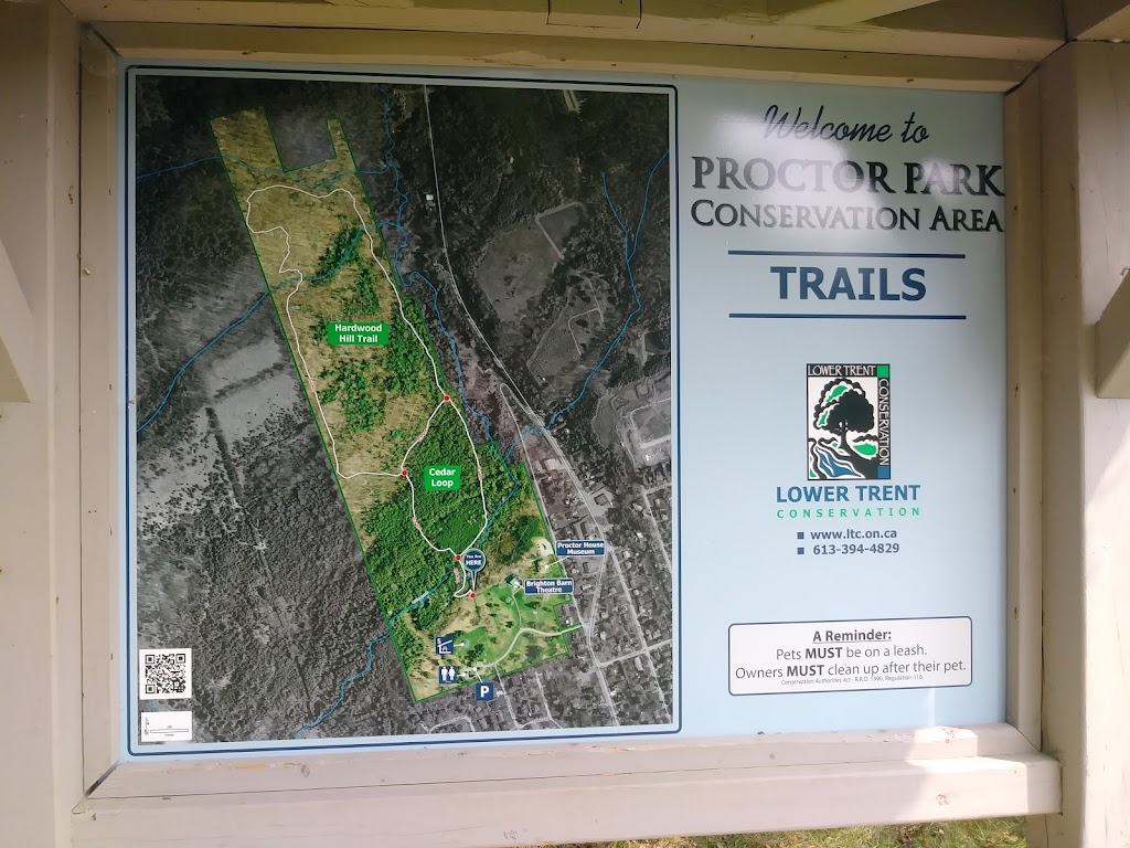 Proctor Park Conservation Area | 96 Young St, Brighton, ON K0K 1H0, Canada | Phone: (613) 394-4829