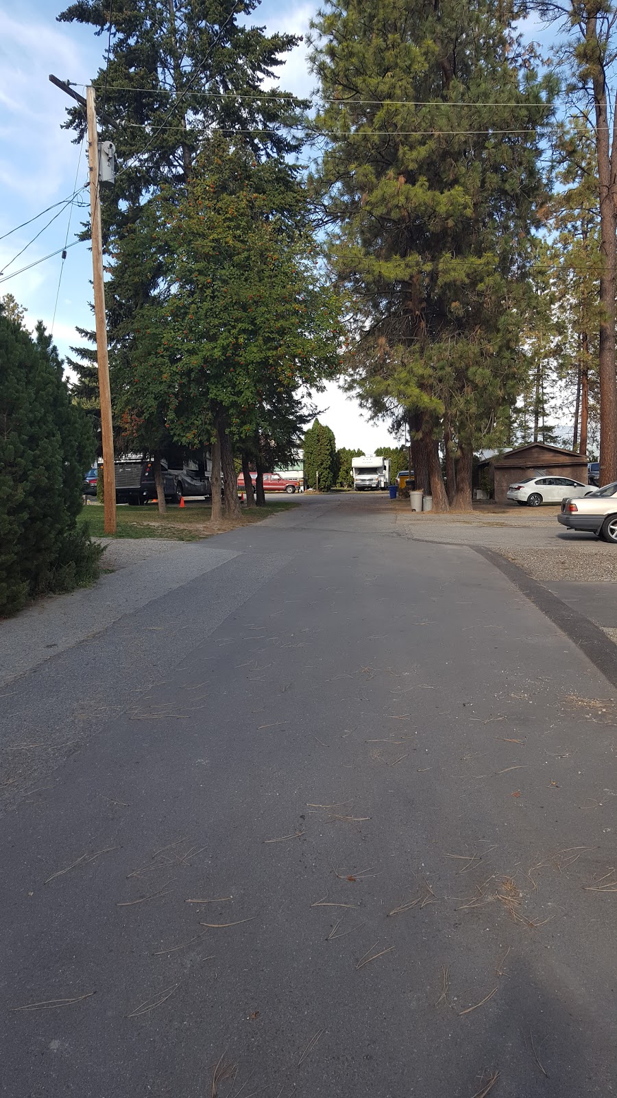 Shady Lane RV & Trailer Park | 1510 Glenmore Rd, Kelowna, BC V1V 2H1, Canada | Phone: (250) 868-1030