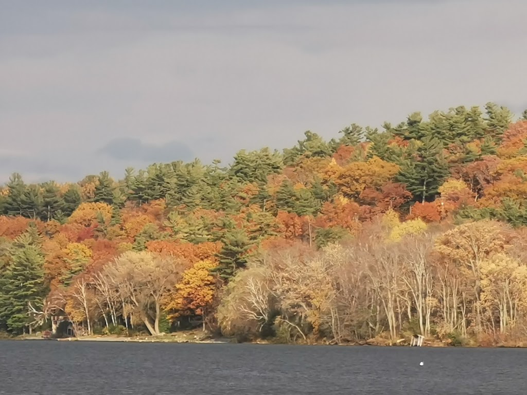 Rice Lake Marina | 4997 Rice Lake Dr N, Bewdley, ON K0L 1E0, Canada | Phone: (289) 675-7904