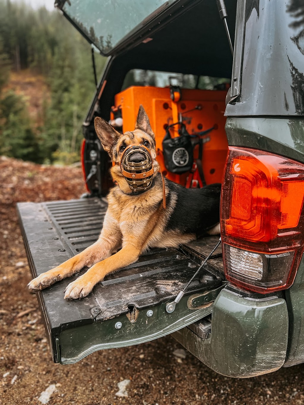 Fir and Bark | 38902 Bowen Ave #4, Squamish, BC V8B 0E8, Canada | Phone: (902) 441-9897