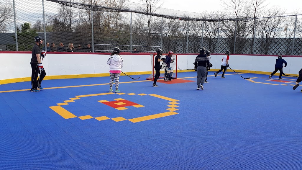 Excellence sur glace | 2950 Rue Edmond, Kirkland, QC H9H 5J5, Canada | Phone: (514) 695-4368