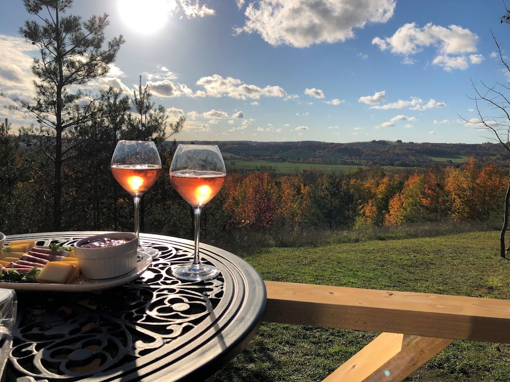 The Grouse & Squirrel | 576808 Concession Road 9, Chatsworth, ON N0H 1G0, Canada | Phone: (519) 794-0806