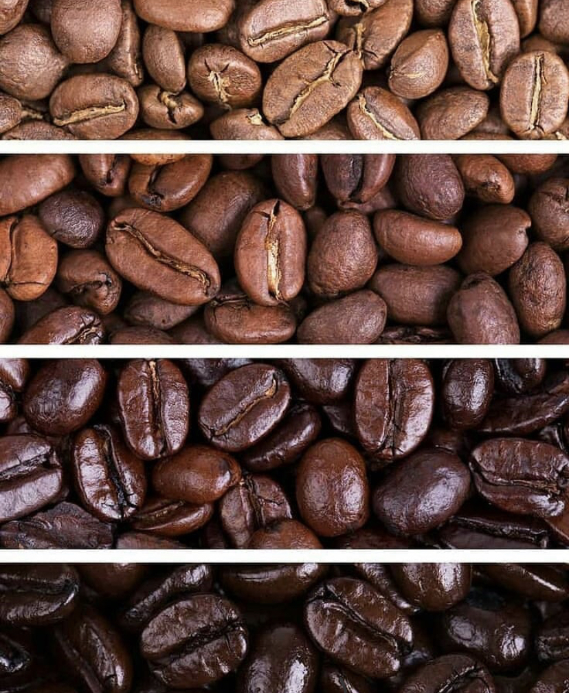 Café Plantation Inc | 7500 Bd des Galeries dAnjou, Anjou, QC H1M 3M4, Canada | Phone: (514) 355-2233