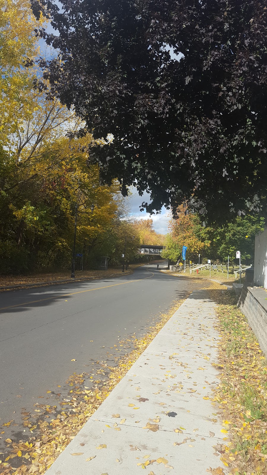 Parc Louis-Marie-Gagnon | Rue Airlie, LaSalle, QC H8R 3K6, Canada | Phone: (514) 872-0311