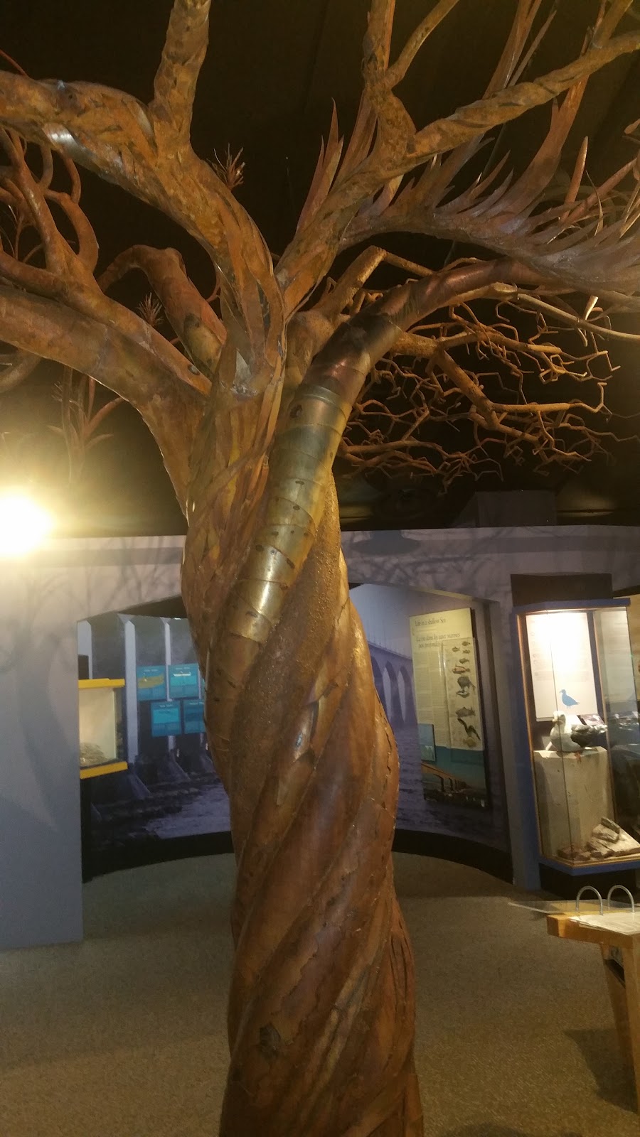 Cape Jourimain Nature Centre | 5039 NB-16, Bayfield, NB E4M 3Z8, Canada | Phone: (506) 538-2220