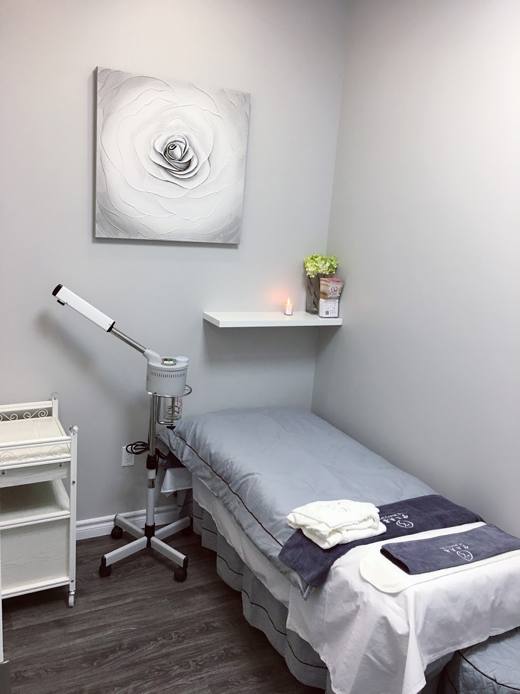 伊兰美容 Lan Beauty Spa | 8601 Warden Ave. Unit 14, Unionville, ON L3R 0B5, Canada | Phone: (647) 323-6888